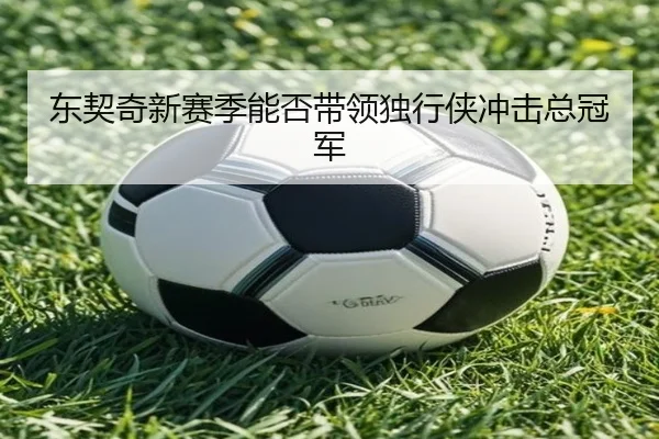 东契奇新赛季能否带领独行侠冲击总冠军